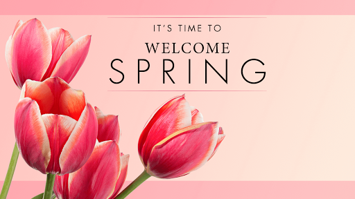 Florist «Currans Flowers», reviews and photos, 15 Park St, Danvers, MA 01923, USA