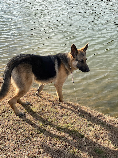 Park «Waterview Park», reviews and photos, 1700 Whitecliff Dr, Duncanville, TX 75137, USA