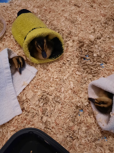 Animal Feed Store «IFA Country Stores», reviews and photos, 1071 Pioneer Rd, Draper, UT 84020, USA