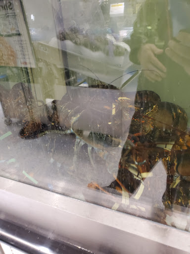 Grocery Store «ShopRite of Flanders», reviews and photos, 90 Bartley Rd, Flanders, NJ 07836, USA