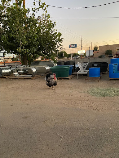 Animal Feed Store «Western Ranchman Store», reviews and photos, 16028 N 32nd St, Phoenix, AZ 85032, USA