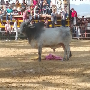 Parque público Icononzo - photo 1
