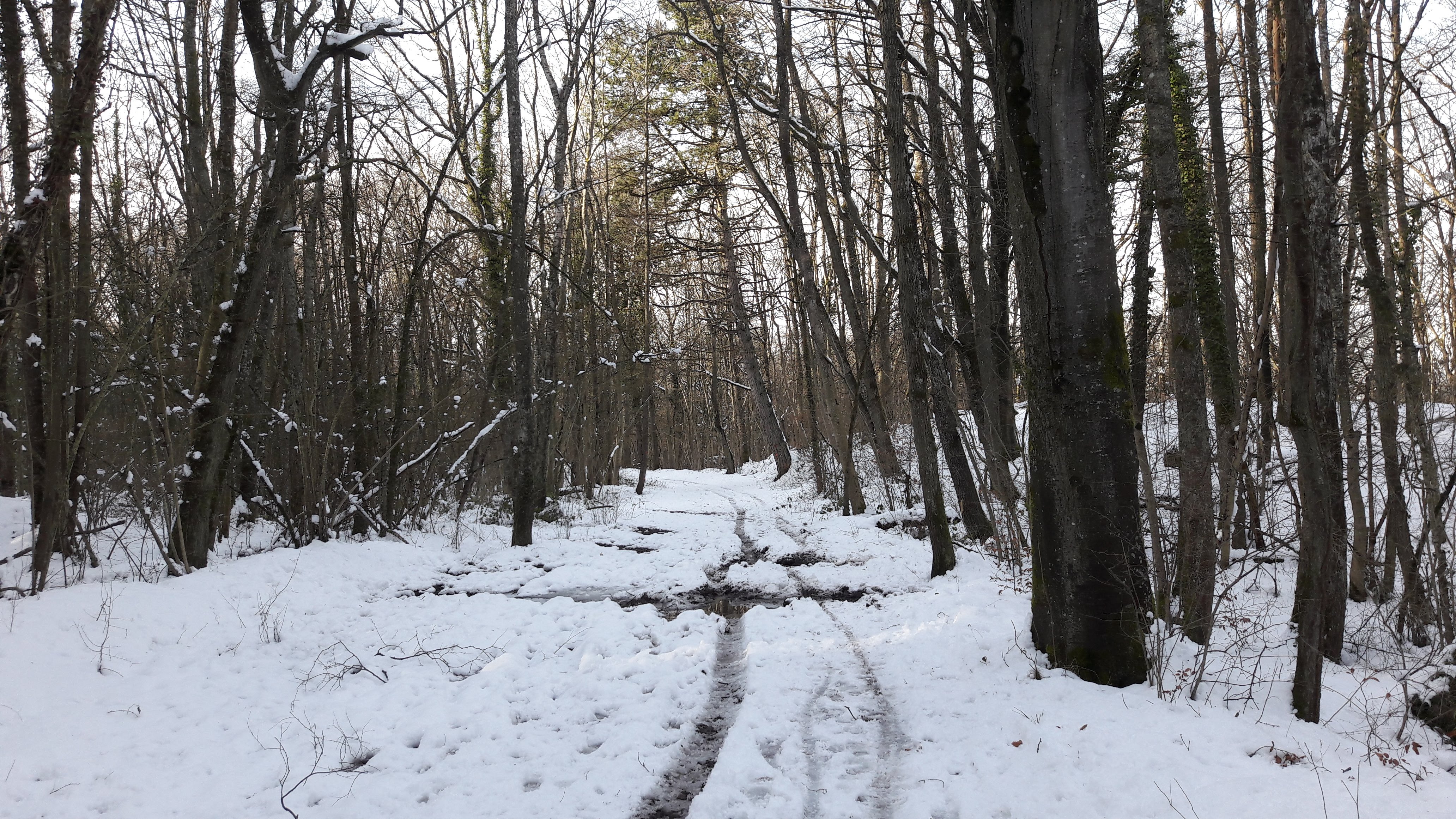 Photo n° 1 de l'avis de Gilles. fait le 10/02/2018 à 17:11