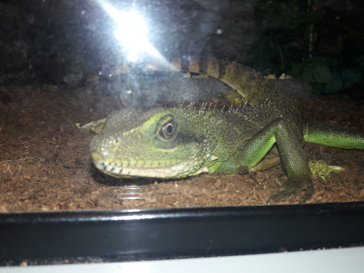 Pet Supply Store «Petco Animal Supplies», reviews and photos, 2365 NW Kings Blvd, Corvallis, OR 97330, USA