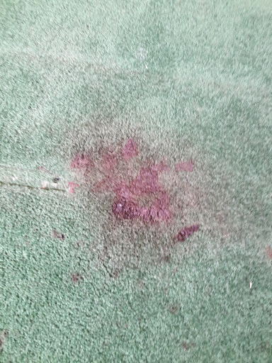Expert Carpet Care, Inc. image