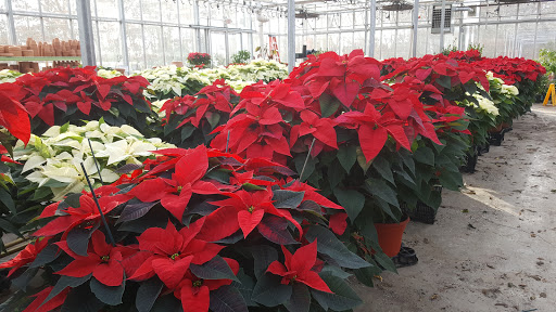 Garden Center «Blooms at Belle Mead», reviews and photos, 1980 US-206, Belle Mead, NJ 08502, USA