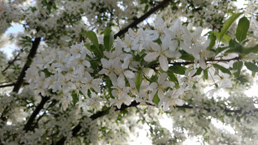 Park «Veterans Park», reviews and photos, 1 Naval Park Cove, Buffalo, NY 14202, USA