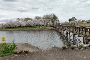 Yoshino Park image