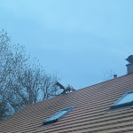 Photo n°5 de l'avis de Florian.o fait le 23/03/2024 à 08:21 sur le  Forsthaus Kamerun à Creußen