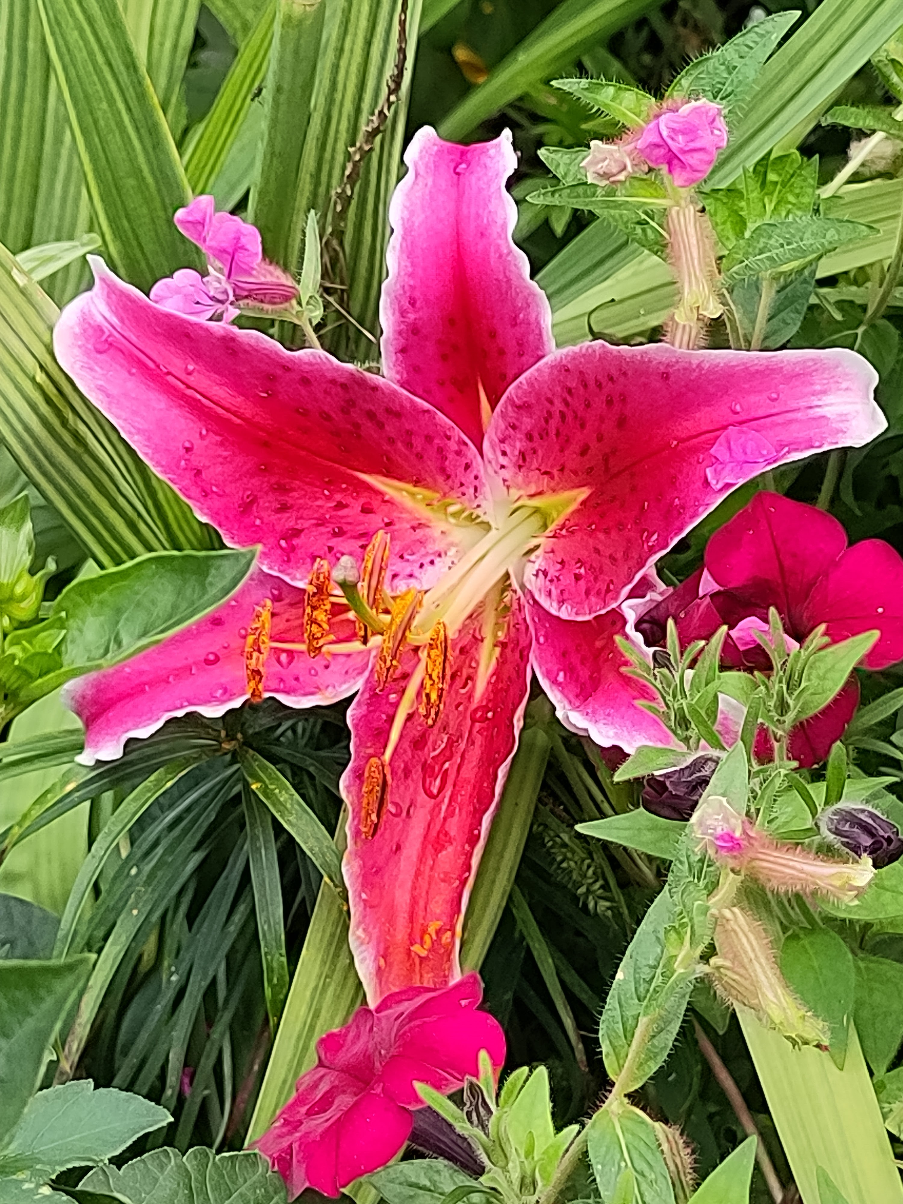 Photo n° 3 de l'avis de Lumin.U fait le 29/08/2023 à 15:58