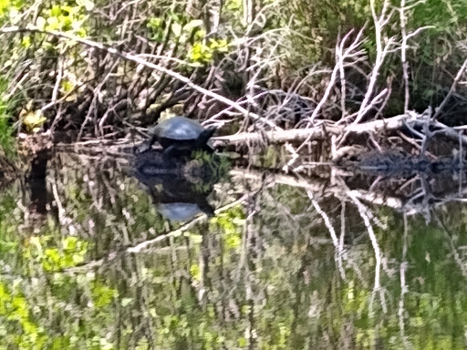 Park «Malaga Lake Park», reviews and photos, 445 Malaga Park Dr, Malaga, NJ 08328, USA