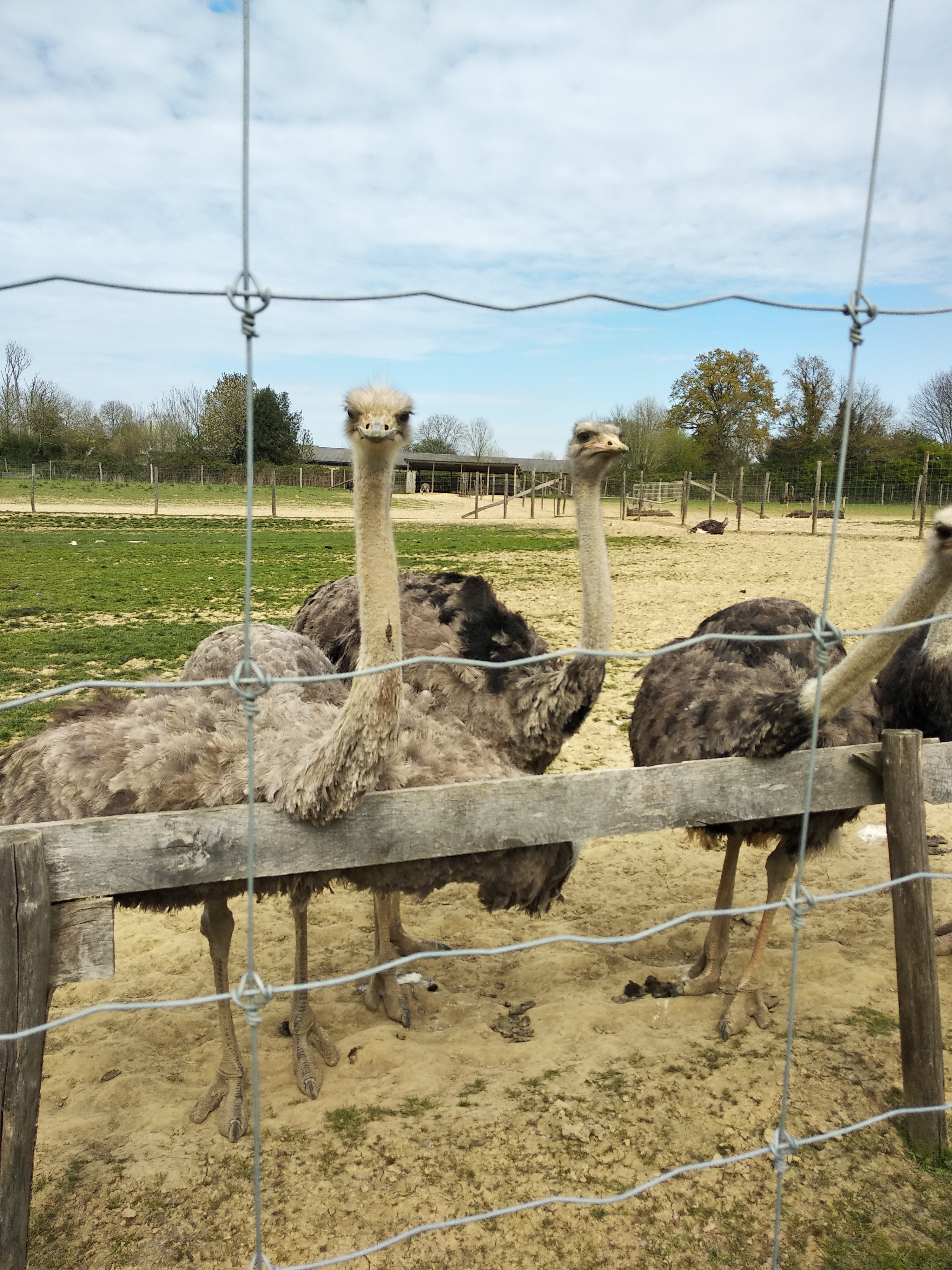 Photo n° 13 de l'avis de Corinne.r fait le 20/04/2019 à 14:41