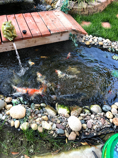 Pet Store «34 Pet Shop», reviews and photos, 3434 W Slauson Ave, Los Angeles, CA 90043, USA