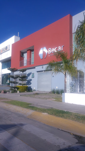 Becar