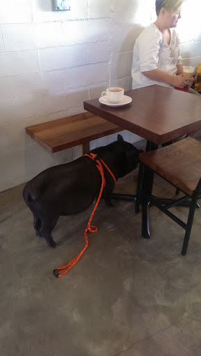 Coffee Shop «Trilogy Coffee Roasting Co», reviews and photos, 136 W Georgia Ave, DeLand, FL 32720, USA