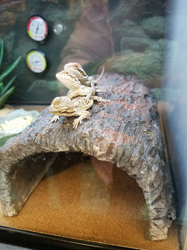 Pet Supply Store «Petco Animal Supplies», reviews and photos, 103 Commerce Way a, Woburn, MA 01801, USA