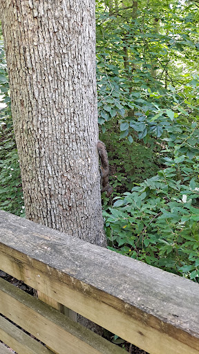 Park «Louise F Cosca Regional Park», reviews and photos, 11000 Thrift Rd, Clinton, MD 20735, USA