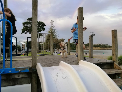 Dog friendly parks in Auckland
