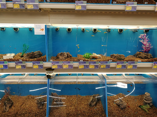 Pet Supply Store «PetSmart», reviews and photos, 1520 Pleasant Valley Rd, Manchester, CT 06042, USA