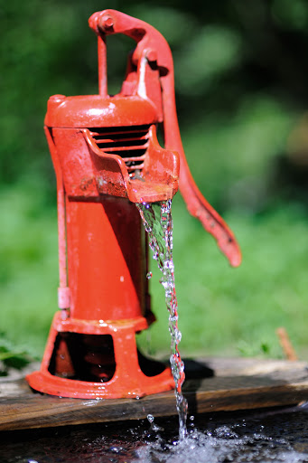 Tourist Attraction «NatureScaping Wildlife Botanical Gardens», reviews and photos, 11000 NE 149th St, Brush Prairie, WA 98606, USA