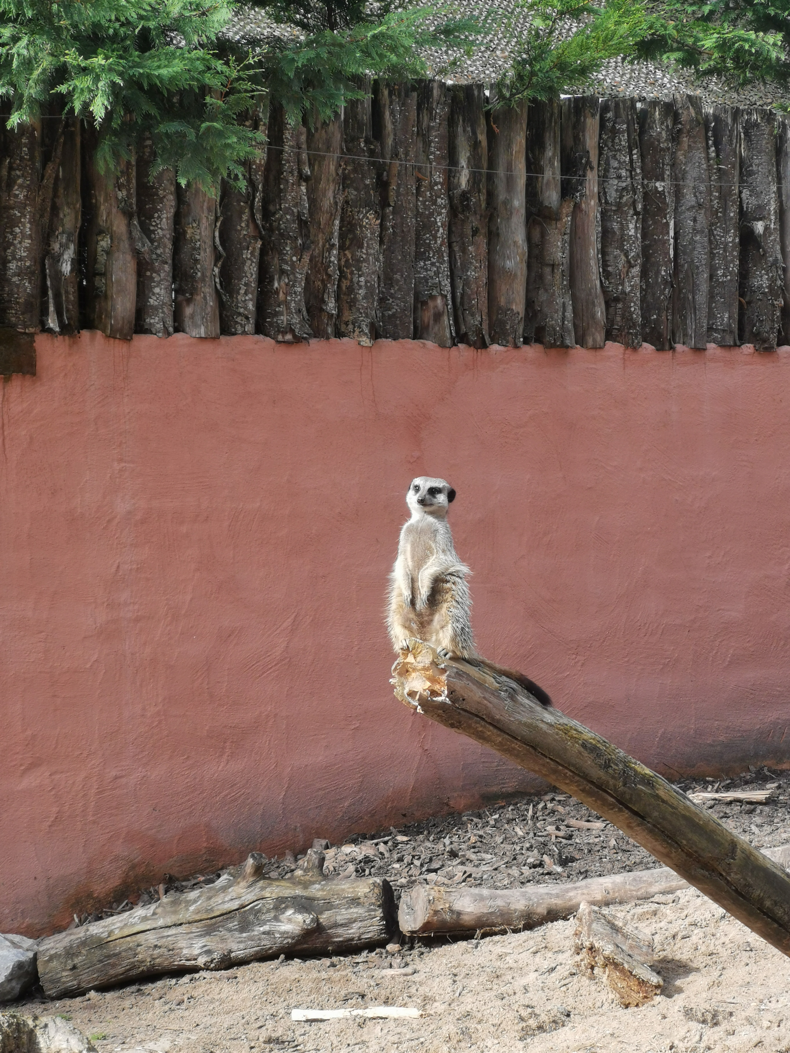 Photo n° 1 de l'avis de Marie.A fait le 11/08/2021 à 10:15