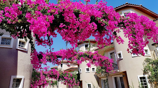 Sunset Beach Club - Lighthouse 10