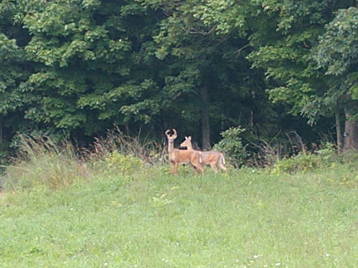 Golf Course «Winding River Golf Course», reviews and photos, 8015 Mann Rd, Indianapolis, IN 46221, USA