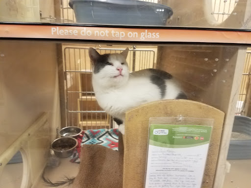 Pet Supply Store «PetSmart», reviews and photos, 3081 S 5600 W, Salt Lake City, UT 84120, USA