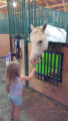 Museum «Marshall County Historical», reviews and photos, 808 E Johnson Ave, Warren, MN 56762, USA