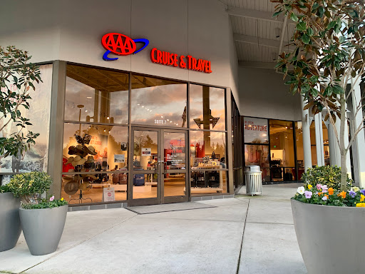 Travel Agency «AAA Cruise & Travel - Bellevue», reviews and photos