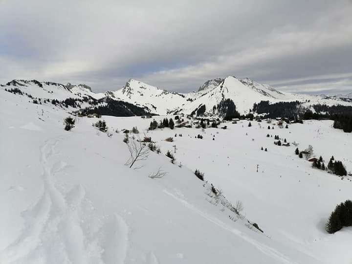 Photo n° 1 de l'avis de Lydia.o fait le 29/02/2020 à 19:49