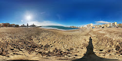 El Molinar beach'in fotoğrafı vahşi alan