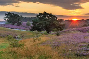 Bezoekerscentrum Brunssummerheide Natuurmonumenten image