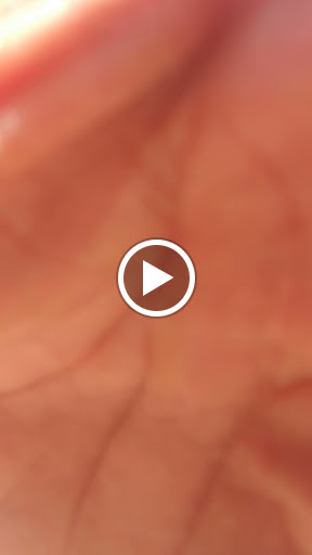 Park «Pagliughi Park», reviews and photos, 2245 Magnolia Rd, Vineland, NJ 08361, USA