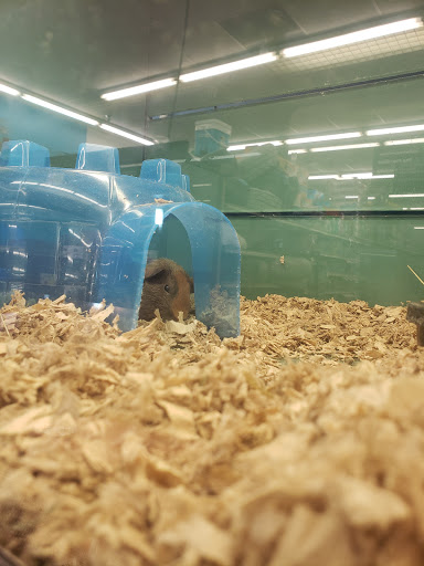 Pet Supply Store «Pet Supplies Plus», reviews and photos, 305 Sidney Baker St S #400, Kerrville, TX 78028, USA