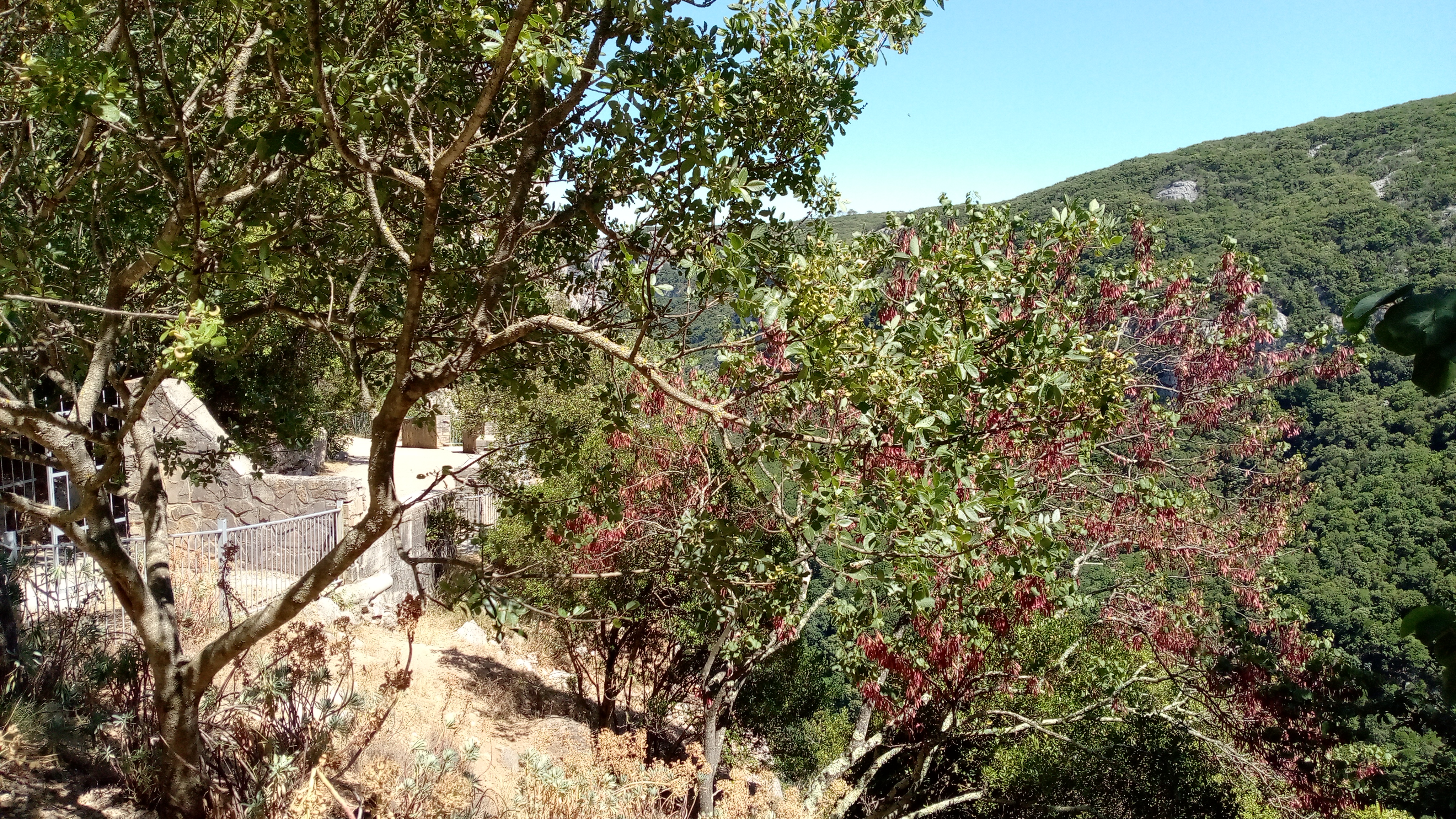 Photo n° 17 de l'avis de Nathalie.o fait le 12/06/2022 à 09:41