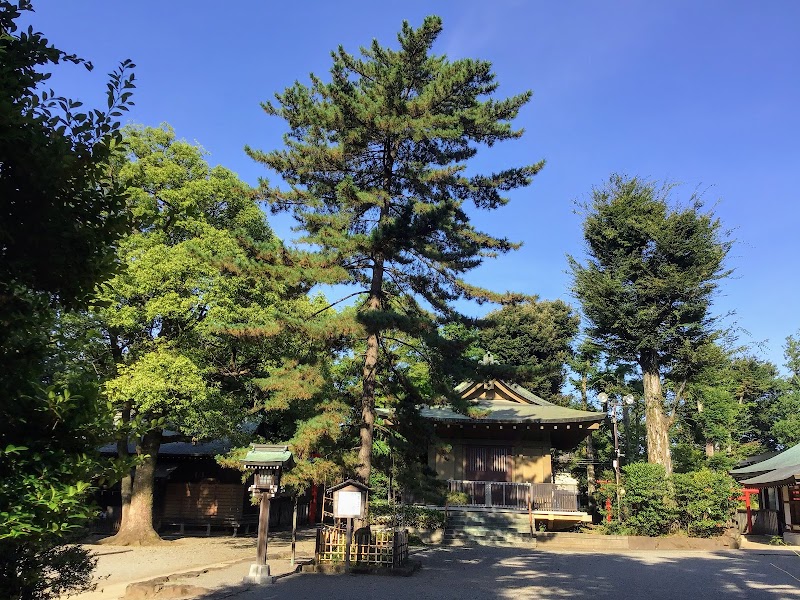 頼朝公御手植の松