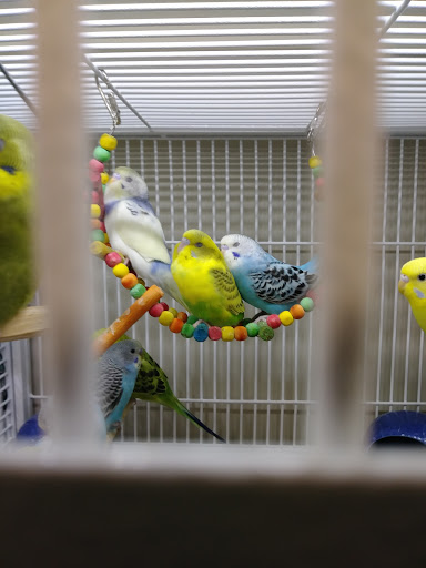 Pet Supply Store «Pet Supplies Plus», reviews and photos, 209 Towne Dr, Elizabethtown, KY 42701, USA