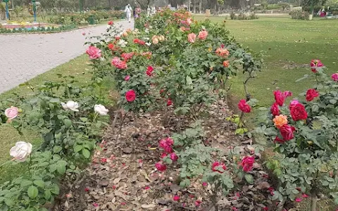 Rose garden Bathinda image