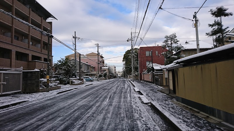 ドーム鴨川