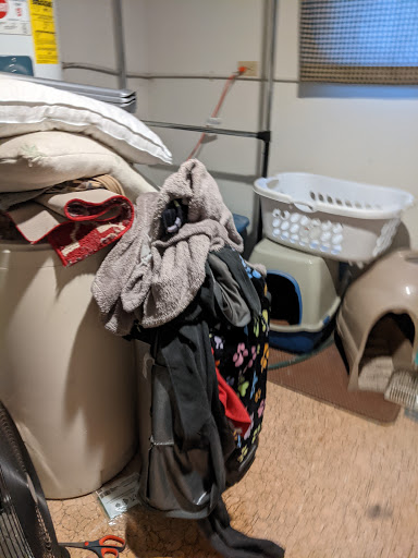 Moving Company «Andrews Moving and Storage Company», reviews and photos, 10235 Philipp Pkwy, Streetsboro, OH 44241, USA