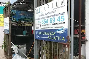 Aquarium Naturaleza Acuatica image