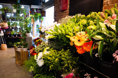 Oh! Les Fleurs - Artisan fleuriste Cormontaigne à Lille
