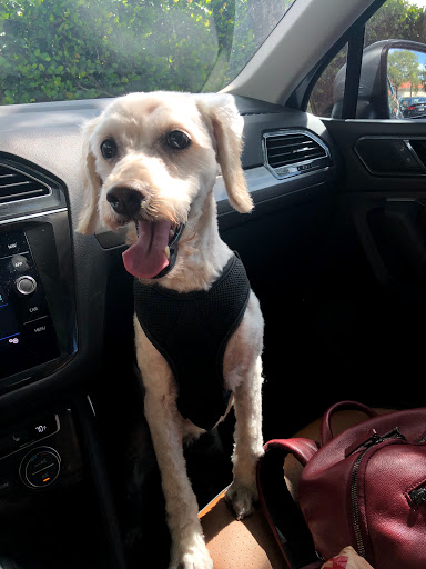 Pet Supply Store «PetSmart», reviews and photos, 4151 Turtle Creek Dr, Coral Springs, FL 33067, USA