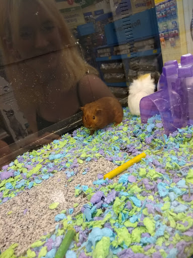 Pet Supply Store «PetSmart», reviews and photos, 9970 Sowder Village Square, Manassas, VA 20109, USA