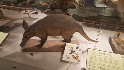 Science Museum «Buffalo Museum of Science», reviews and photos, 1020 Humboldt Pkwy, Buffalo, NY 14211, USA