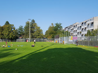 Stade des Fraisiers