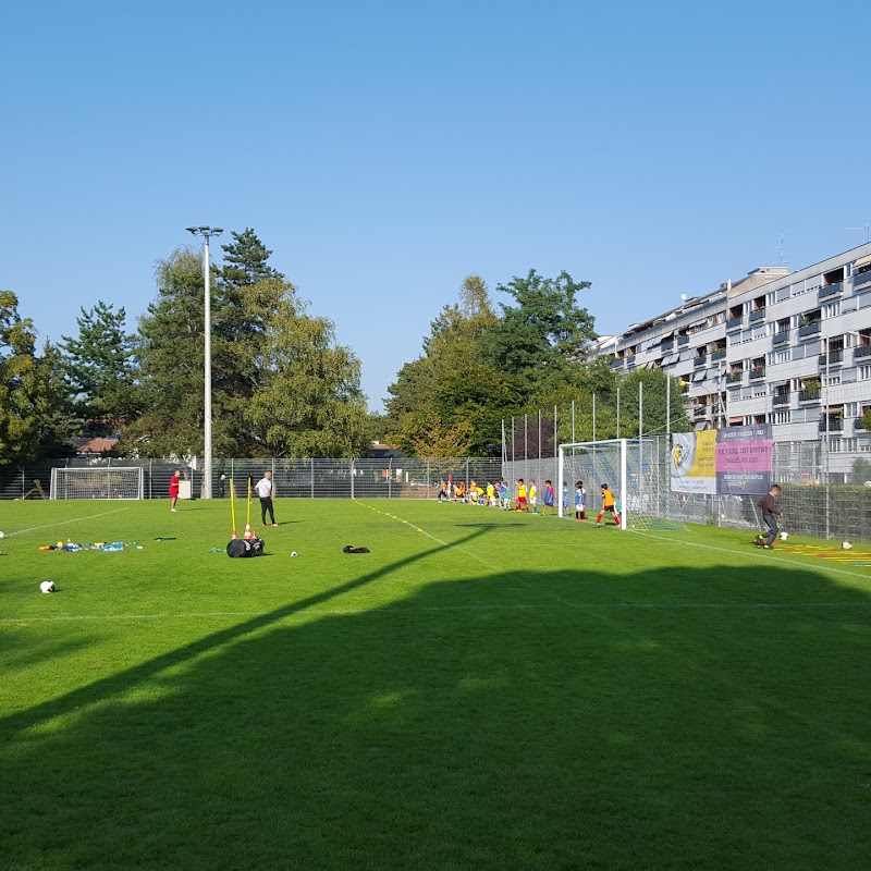 Stade des Fraisiers