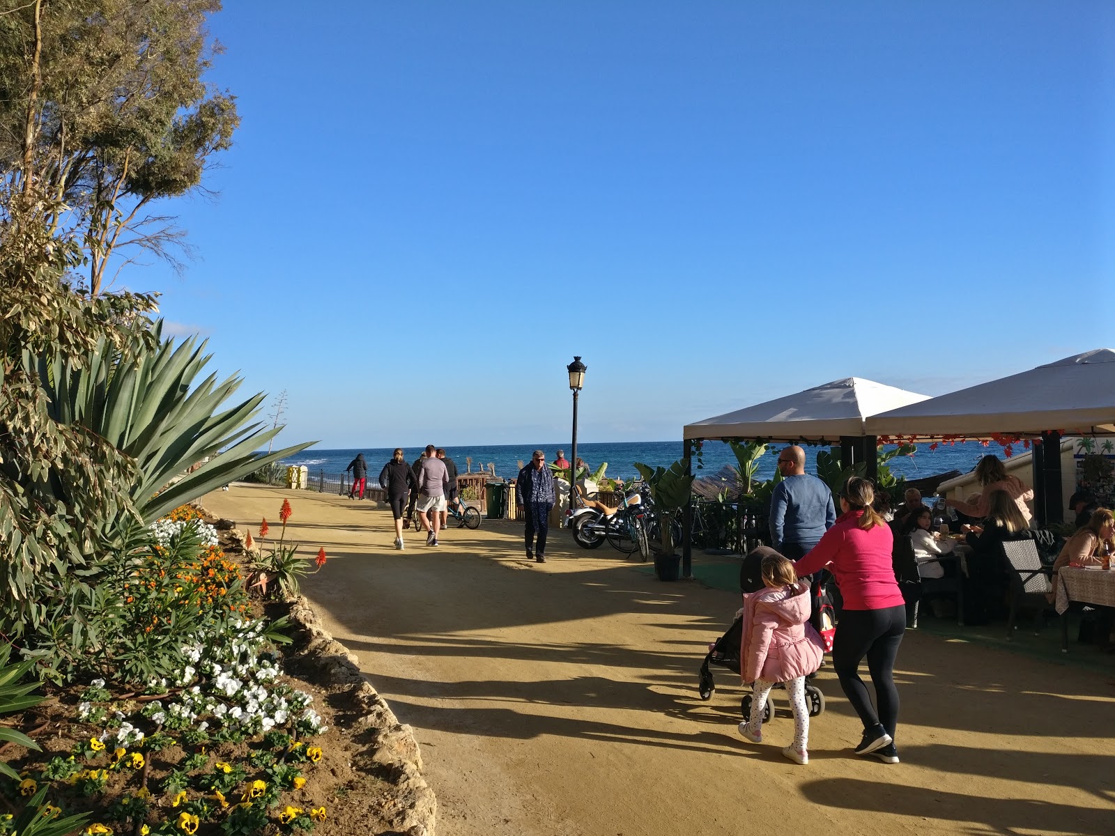 Photo of Torre Ancon beach amenities area