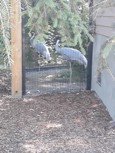 Supermarket «WinCo Foods», reviews and photos, 2020 Caldwell Blvd, Nampa, ID 83651, USA